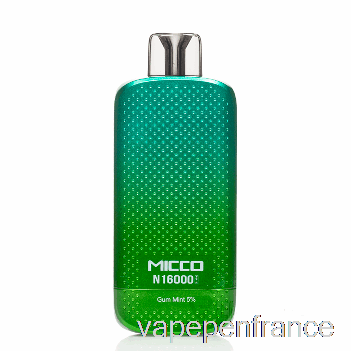 Stylo Vape Jetable à La Menthe Et à La Gomme Horizontech Micco N16000